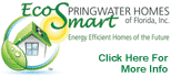 EcoSmart Springwater Homes of FL, Energy Efficient Homes of The Future
